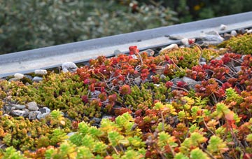the cost of White Post green roof installation