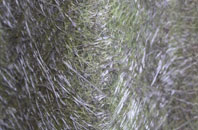 White Post fibreglass roof work